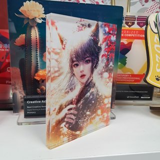 參考案例：亞加力磚